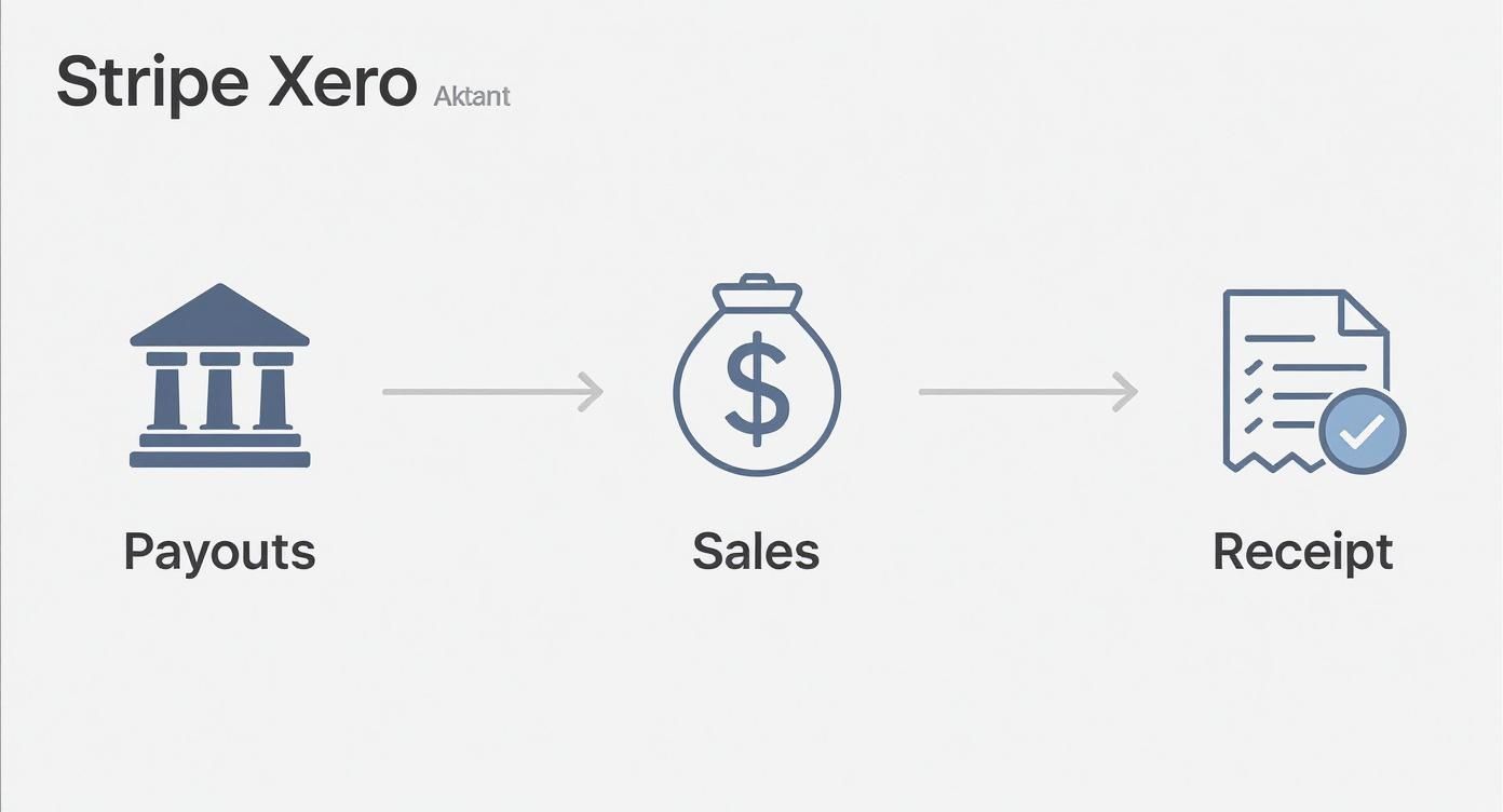 Diagram showing the Stripe Xero financial flow: Payouts from a bank, leading to Sales, then a Receipt.