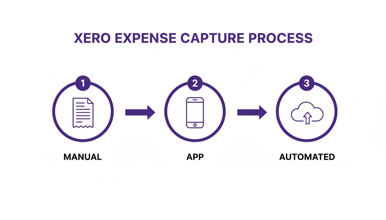 A diagram illustrating the Xero expense capture process: Manual (receipt), App (phone), and Automated (cloud upload).